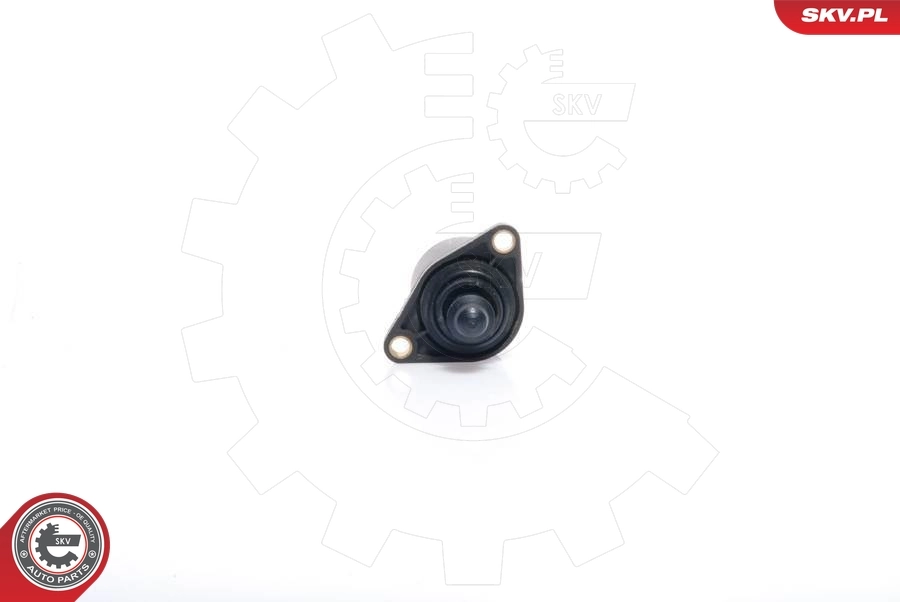 Idle Control Valve, air supply
